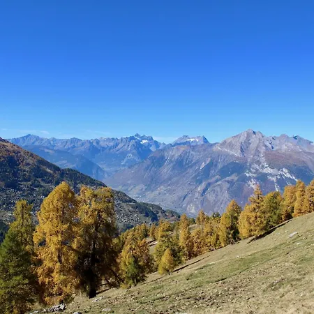 Lovely Near Area * Nendaz