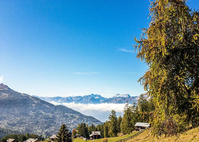 In Near Lift * Nendaz